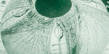 FBL100 Emerald