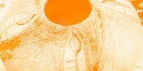 FBL13 Orange