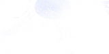 FBL16 White