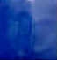 CGE15 Cornflower